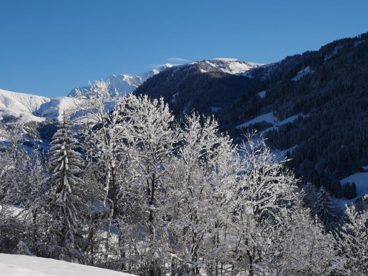 La Ferme D'Hauteluce - Chalets Экстерьер фото